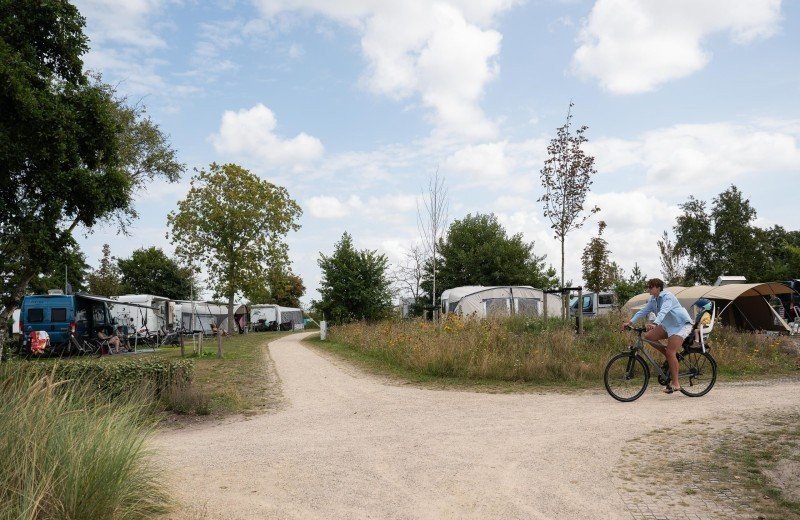 By quinty matakupan 38 1