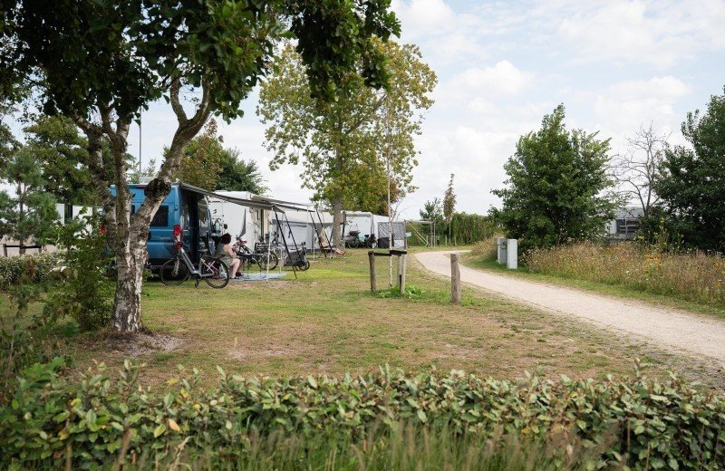 By quinty matakupan 41 1 1