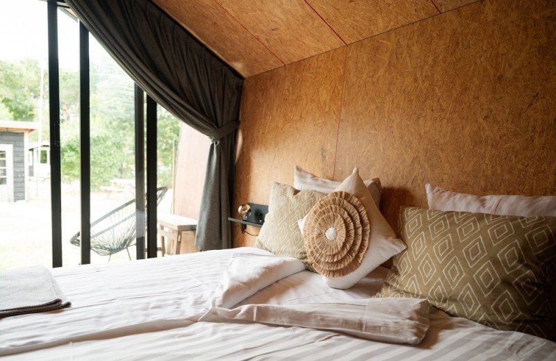 By quinty matakupan 66